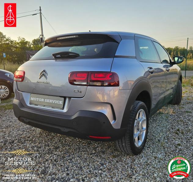 C4 Cactus Shine PREZZO REALE E FINALE - Foto 5