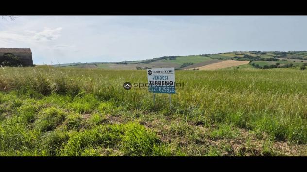 San costanzo proponiamo in vendita azienda agricola di circa 18 ettari. il terreno gode di un'ottima esposizione ed è facilmente raggiungibile dalle p