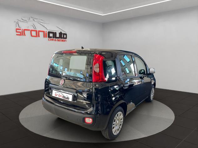 FIAT Pandina Pandina 1.0 firefly hybrid Icon s&s 65cv - Foto 7