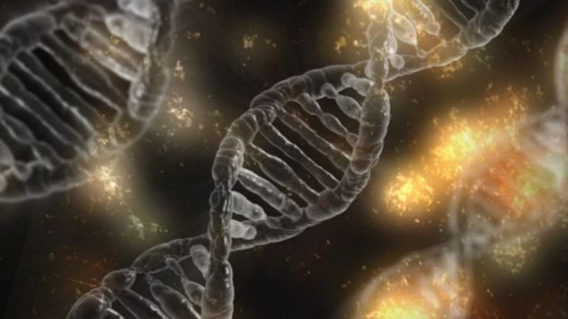 Lezioni e ripetizioni di biologia per scuole medie e superiori