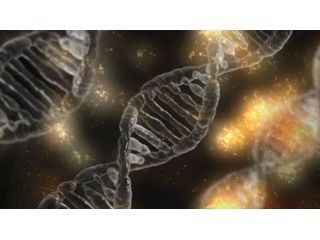 Lezioni e ripetizioni di biologia per scuole medie e superiori