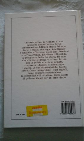 Pastore Tedesco Come nuovo - Foto 2