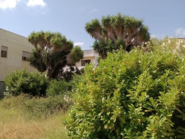 Terreno Edificabile - Zona B2 - 508mtq Arnesano (Le) Via Cilea - Foto 4