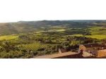 Terreno agricolo in vendita a Lazzeretto - Cerreto Guidi 40000 mq  Rif: 968543