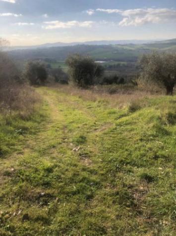 Immobile in asta di 15242 m² in vendita a Gradara - Foto 3