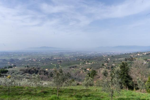 Terreno agricolo in vendita a Vitolini - Vinci 18450 mq Rif: 1399141 - Foto 8