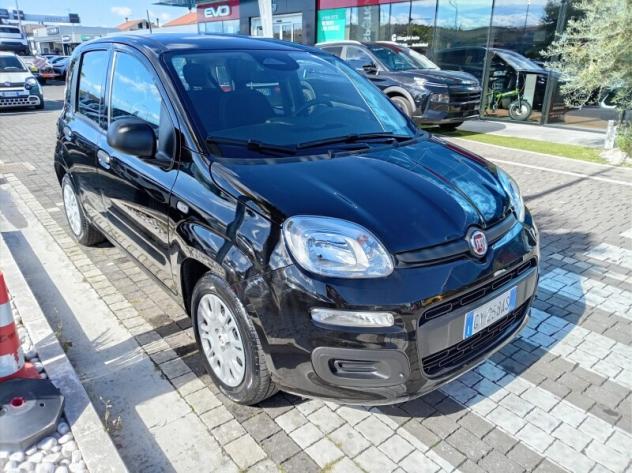 FIAT Panda 3ª serie Panda 1.0 FireFly S&S Hybrid - Foto 4