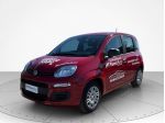 FIAT Pandina Panda 1.0 70cv Hybrid Panda