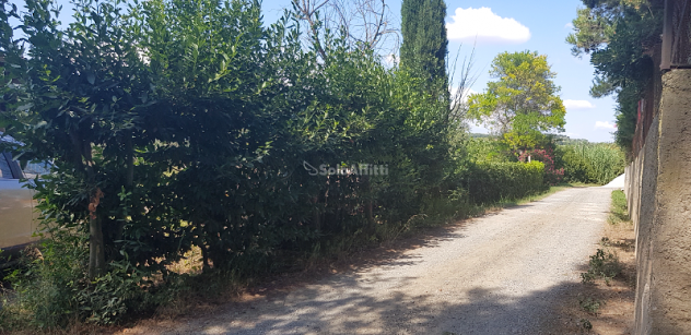 Trilocale in affitto a Rosignano Marittimo - Foto 12
