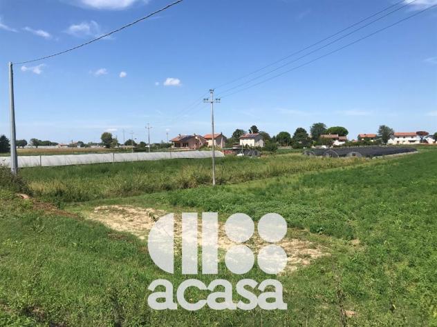 TERRENO AGRICOLO CON POZZO ARTESIANO - Foto 6