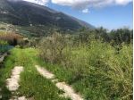 Roccadaspide loc. Fonte terreno agricolo