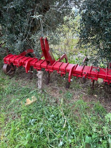 Estirpatore agricolo, tenuto in ottimo stato - Foto 2