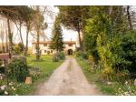 Casale in vendita a Fauglia 150 mq  Rif: 1409507