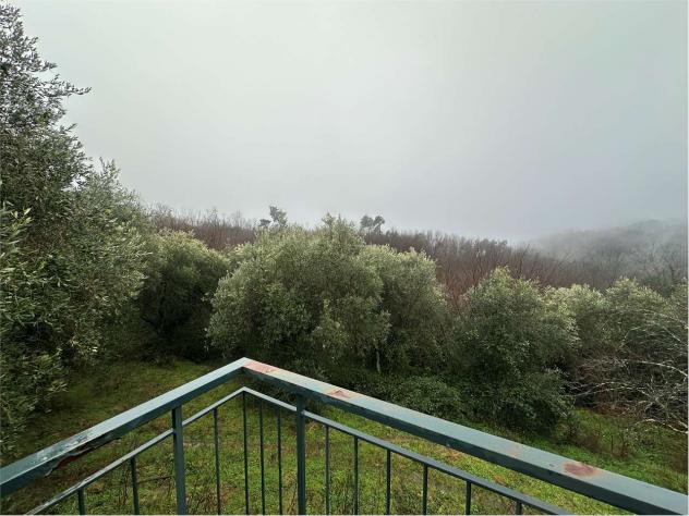 Rust Malo 230 - Rustico/Casale a Buggiano - Malocchio - Foto 5