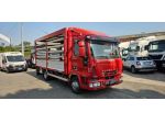 IVECO EUROCARGO 80E21 CENTINATO ALZA E BASSA MT5.15 rif. 23140630