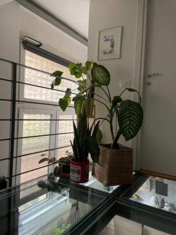 Appartamento di 60 m² con 3 locali in affitto a Milano - Foto 11