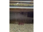Pianoforte Schulze Pollmann 126 d'alta gamma (Ciresa + Renner) con trasporto