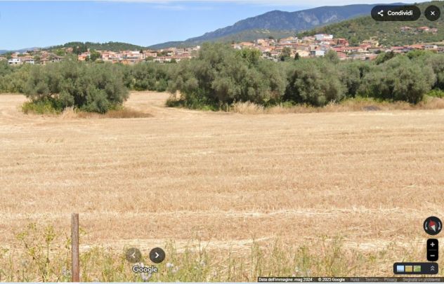 SANTADI (SU) Via RIO CANE, TERRENO 16541 MQ con 50 OLIVI ADIACENTE PAESE 3,5€/m² - Foto 6