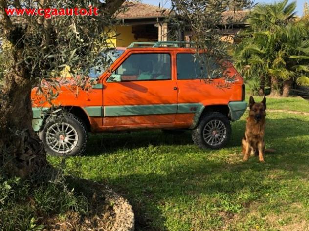 FIAT Panda 4 x 4 leggi 4 ruote, ruoteclassiche cgamotors.it rif. 14504944 - Foto 2