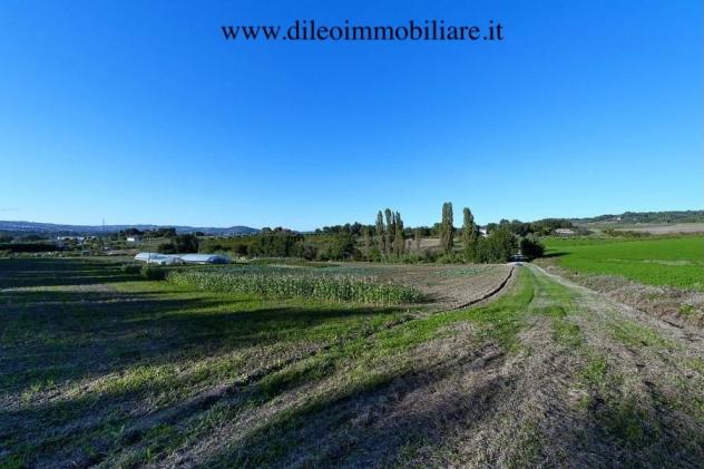 Casale in vendita a Pesaro - Foto 6