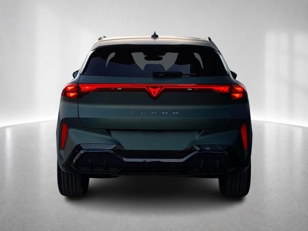 CUPRA Terramar Terramar Tribe Edition 2.0 TSI DSG 4DRIVE 204 CV - Foto 7