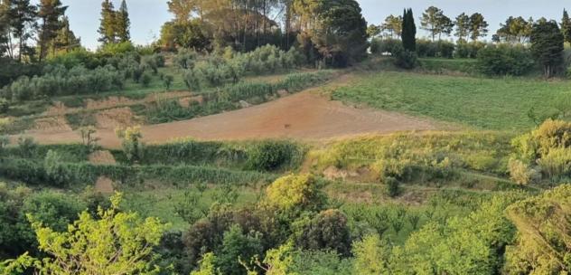 Casale in vendita a Usigliano - Casciana Terme Lari 305 mq Rif: 1411326 - Foto 4