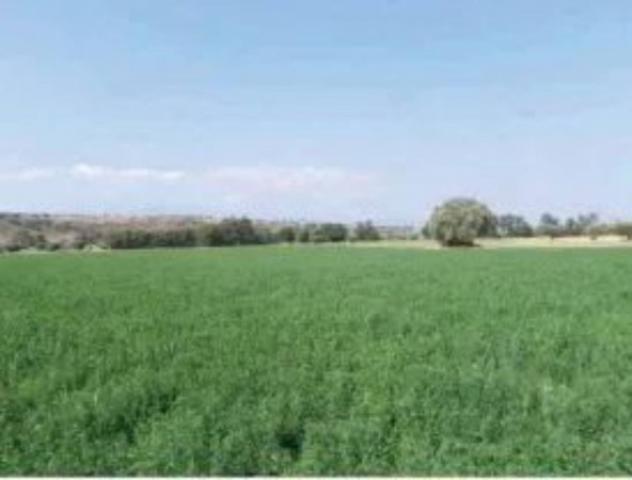 Immobile in asta di 37060 m² in vendita a Roggiano Gravina - Foto 6
