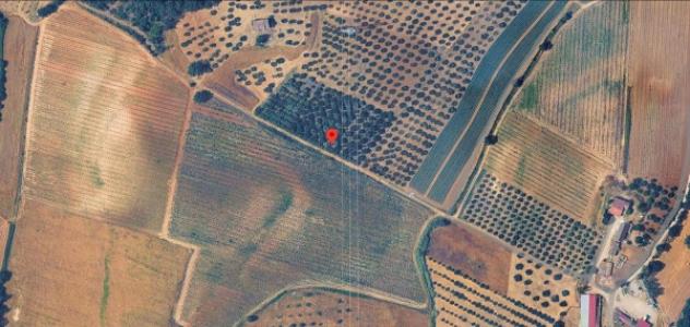Immobile in asta di 8930 m² in vendita a Roggiano Gravina - Foto 9
