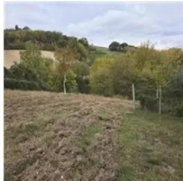 Immobile in asta di 9470 m² in vendita a San Severino Marche - Foto 3