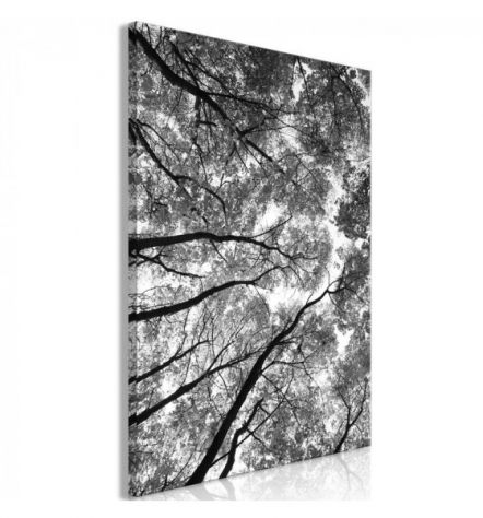 Quadro Con Gli Alberi Grigi Cm.40x60 ARREDALACASA