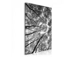 Quadro Con Gli Alberi Grigi Cm.40x60 ARREDALACASA