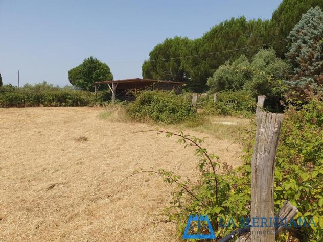 Terreno agricolo in vendita a Lamporecchio 10000 mq Rif: 1362349 - Foto 3