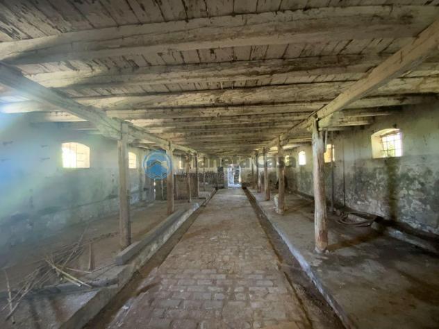 MONTA': rustico da ristrutturare con giardino di 8000 metri - Foto 17