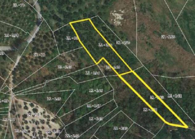 Immobile in asta di 9105 m² in vendita a Torricella Peligna - Foto 8
