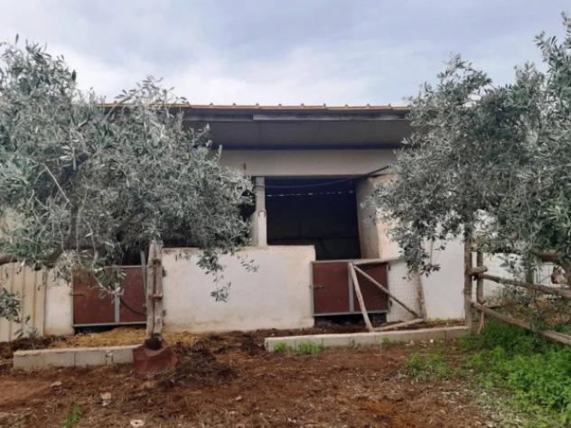 Immobile in asta di 14312 m² in vendita a Orosei - Foto 2