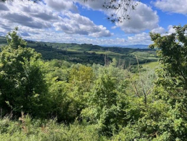 Immobile in asta di 157149 m² in vendita a Montespertoli - Foto 2