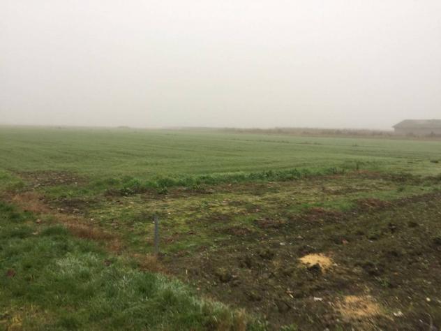 Soliera vendesi terreno agricolo 36300 Mq