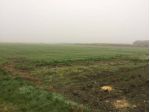 Soliera vendesi terreno agricolo 36300 Mq