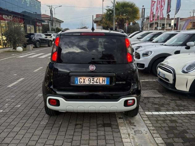 FIAT Panda 3ª serie Panda 1.0 FireFly S&S Hybrid Pandina