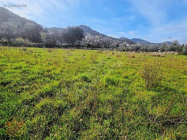 Agricolo in Località San Pietro
