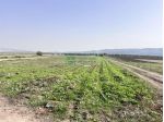 TERRENO AGRICOLO