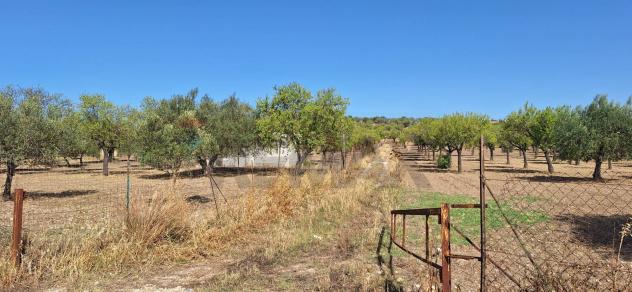Terreno in vendita a Noto - Foto 9