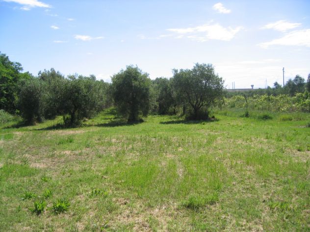 Terreno con anesso e pozzo - Foto 7