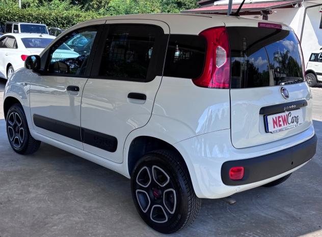 Fiat Panda 0.9 TwinAir Turbo S&S 4x4 Van 2 posti - Foto 6