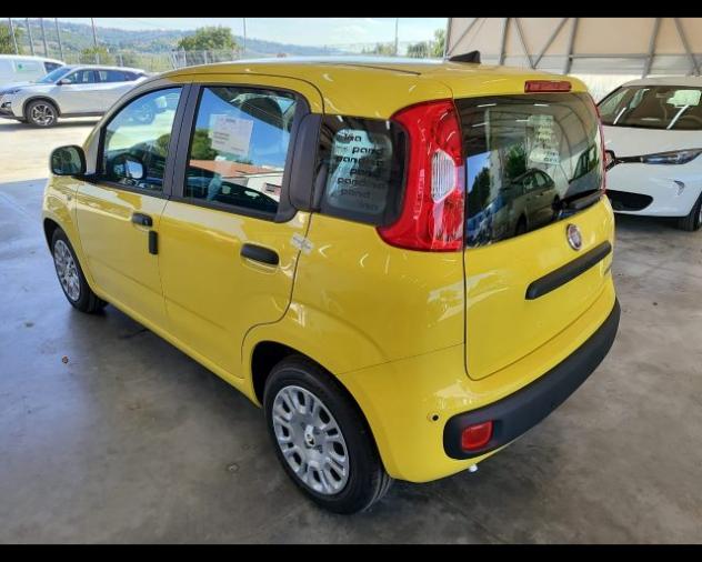 FIAT Pandina 1.0 FireFly 65 CV Hybrid Icon rif. 24121662 - Foto 7
