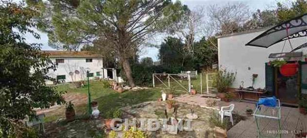 CASALE di 10 vani e di 265 mq (GROSSETO - CENTRO) rif. 2535.27M - Foto 16
