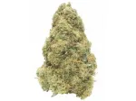 Gelato 41 Indoor