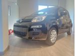FIAT Pandina POP  *ADAS rif. 23515531