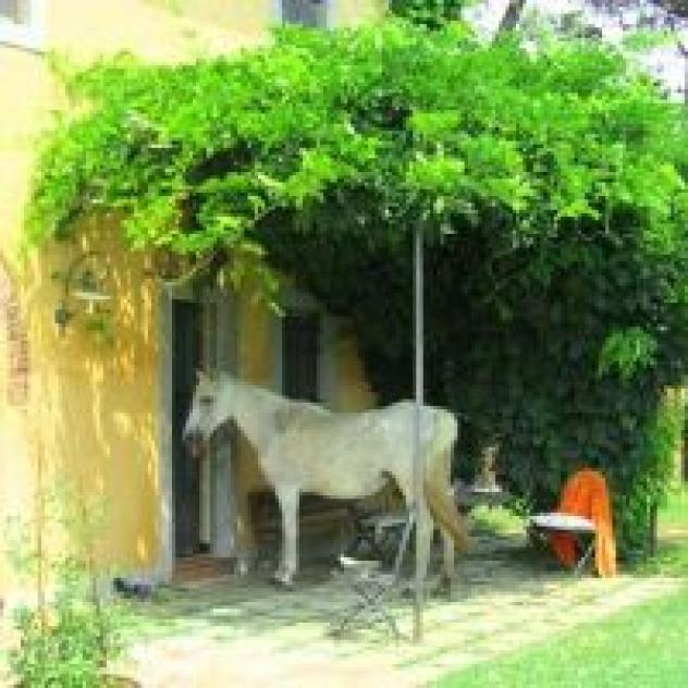Az. Agr. Il Bottaccino di Bruno Riccardo Maria - Foto 2