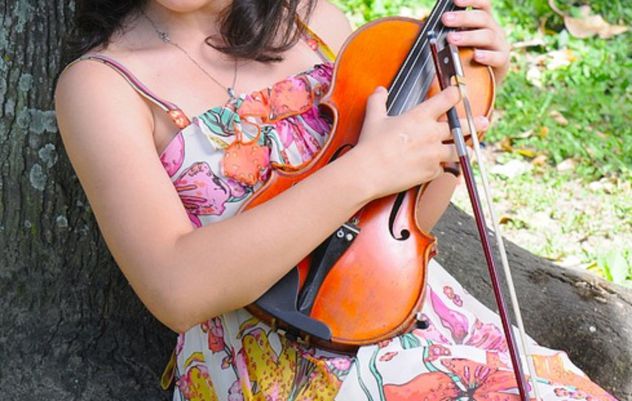 Violinista a Ferrara e Valli di Comacchio